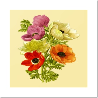 Anemone Windflower Botanical Art Vector Cut Out Posters and Art